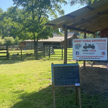Goat Yoga Georgia - Yoga Near Me Goat Yoga Georgia - Yoga Near Me