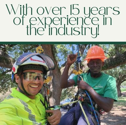 Professional Tree Preservation Services - At Benton Tree Services, we are dedicated to the preservation and long-term health of your trees. With over 20 years of industry experience and 17 years of dedicated service, our ISA Licensed and Certified Arborists specialize in advanced tree preservation techniques tailored to both commercial and residential properties. Fully licensed and insured, our team employs state-of-the-art methods to diagnose, treat, and maintain your trees, ensuring they remain robust and healthy. We focus on proactive care, including soil management, pest control, and disease prevention, to extend the life and beauty of your trees. Trust Benton Tree Services for professional, reliable tree preservation solutions that safeguard the natural splendor and environmental benefits of your landscape for future generations. Professional Tree Preservation Services - At Benton Tree Services, we are dedicated to the preservation and long-term health of your trees. With over 20 years of industry experience and 17 years of dedicated service, our ISA Licensed and Certified Arborists specialize in advanced tree preservation techniques tailored to both commercial and residential properties. Fully licensed and insured, our team employs state-of-the-art methods to diagnose, treat, and maintain your trees, ensuring they remain robust and healthy. We focus on proactive care, including soil management, pest control, and disease prevention, to extend the life and beauty of your trees. Trust Benton Tree Services for professional, reliable tree preservation solutions that safeguard the natural splendor and environmental benefits of your landscape for future generations.