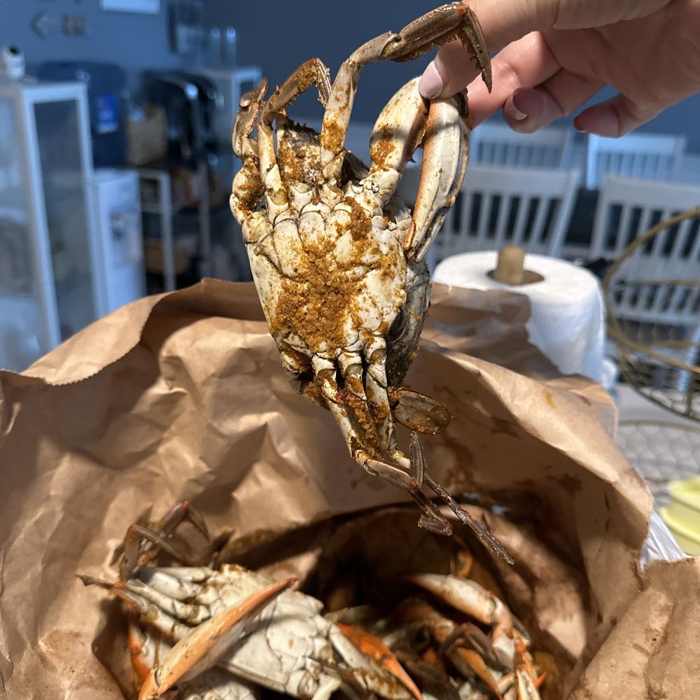 TOP 10 BEST Seafood Markets near Elkton, MD 21921 - Updated 2026 - Yelp