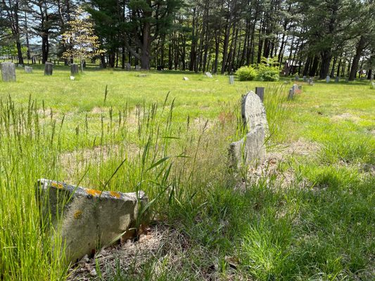 Western Cemetery by null