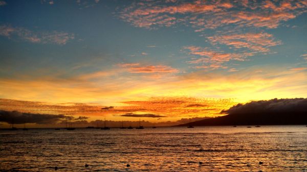Lahaina Yacht Club by null