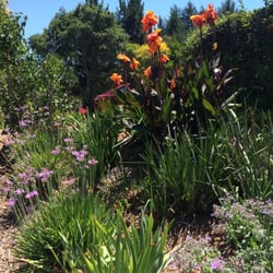 Healing Oasis - Stroll through our beautiful gardens!