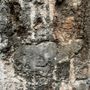 Photo of Windley Key Fossil Reef Geological State Park