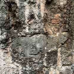 Windley Key Fossil Reef Geological State Park