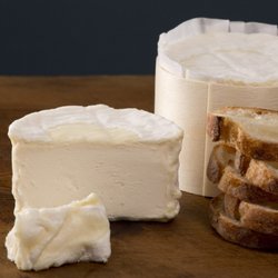Tasteful Times - Delice de Bourgogne triple cream brie imported from France