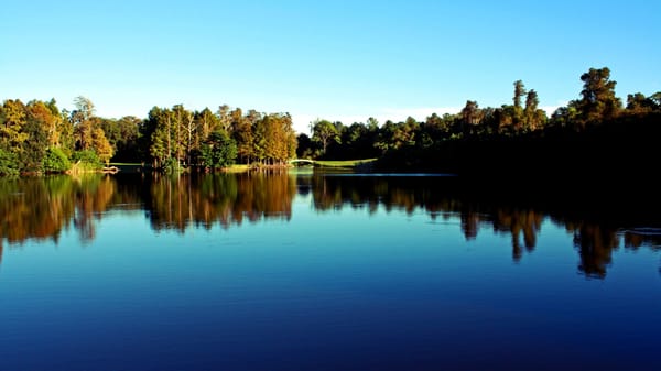 Innisbrook Resort by null