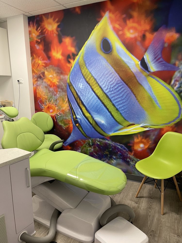 GREEN MOUNTAIN PEDIATRIC DENTISTRY Updated May 2024 42 Timber Ln