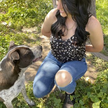 Balanced Pups - Pet Training Near Me Balanced Pups - Pet Training Near Me