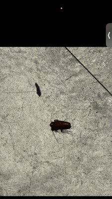 Nick's Kitchen by null