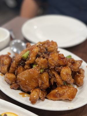 Golden Pheasant by null