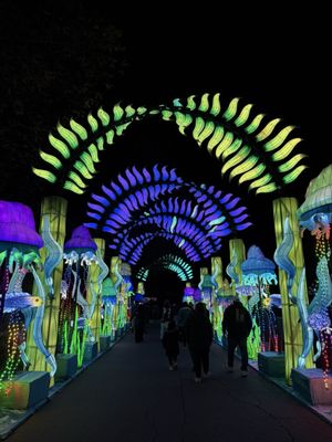 Franklin Park Zoo by null