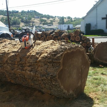 Rogue Valley Tree Care - This old elm had to come down. It will be replaced with a more suitable residential tree. - Tree Services Near Me - White City, Oregon