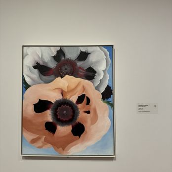 Milwaukee Art Museum - Art Museums Near Me - Milwaukee, Wisconsin
