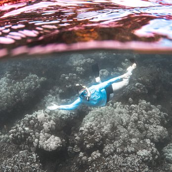 Sea Maui - Snorkeling at Lanai, the coral has color you can't see in this pic and the fishes are AMAZING! - Boat Charters Near Me - Lahaina, Hawaii Sea Maui - Snorkeling at Lanai, the coral has color you can't see in this pic and the fishes are AMAZING! - Boat Charters Near Me - Lahaina, Hawaii