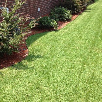 Pitch Perfect Lawn Care - green grass and shrubs - Lawn Services Near Me Pitch Perfect Lawn Care - green grass and shrubs - Lawn Services Near Me