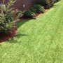 Photo of Pitch Perfect Lawn Care