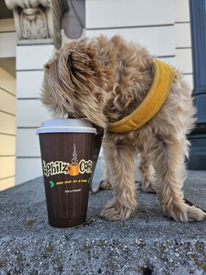 Philz Coffee by null