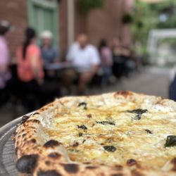 Lupo - Milk & Honey Pizza