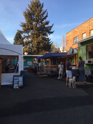 The Bite on Belmont by null