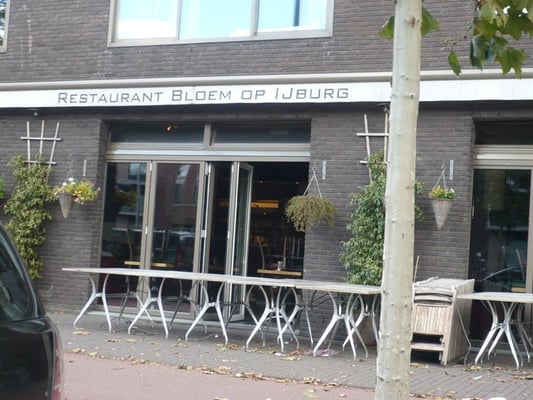 Bloem op IJburg by null