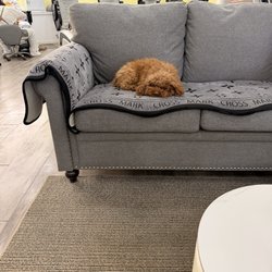 Venetian Nail Spa - Cute little doggy friend