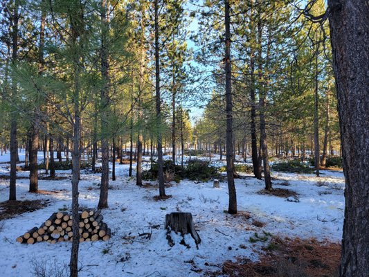 DSE Defensible Space Experts