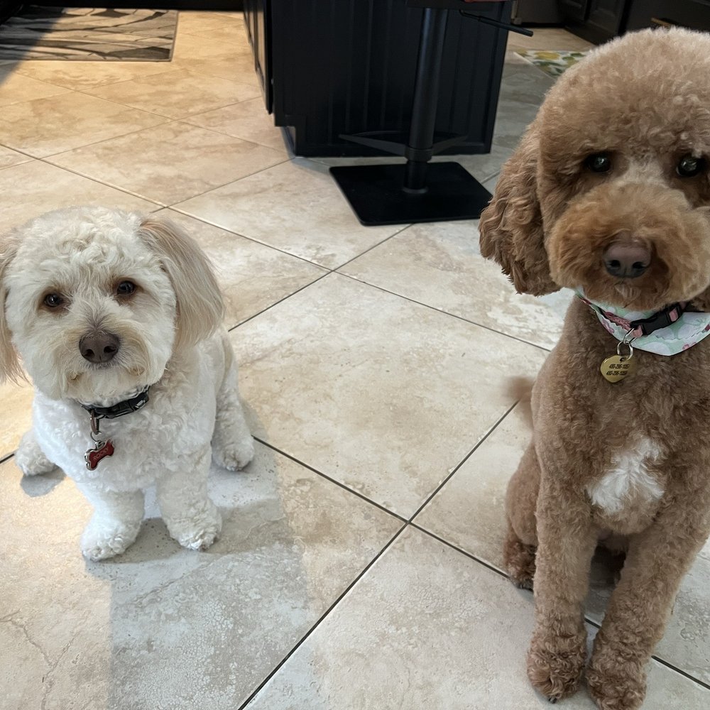 Rocky and Lucy loves Greta!! Rocky and Lucy loves Greta!!