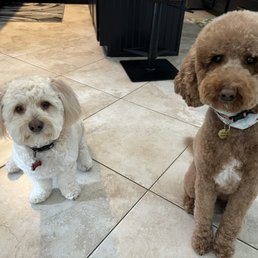 Rocky and Lucy loves Greta!! Rocky and Lucy loves Greta!!
