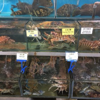 天虹海鮮酒家 - Seafood Near Me - Hong Kong, HK