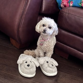 Walgreens - Bailey is happy that her Mother got her medication in a timely manner - Cosmetics & Beauty Supply Near Me - Rochester Hills, Michigan Walgreens - Bailey is happy that her Mother got her medication in a timely manner - Cosmetics & Beauty Supply Near Me - Rochester Hills, Michigan