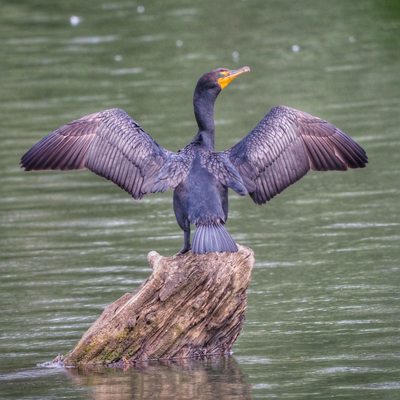 Lewis and Clark National Historical Park by null