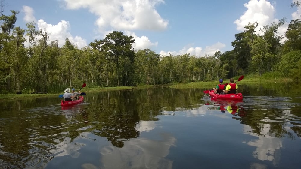 KAYAK SWAMP TOURS Mandeville, LA Yelp
