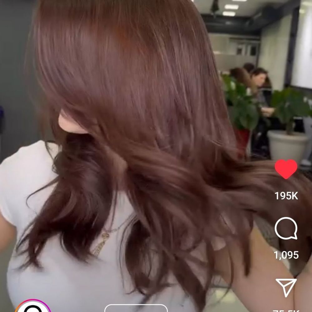 This was the expectation color
