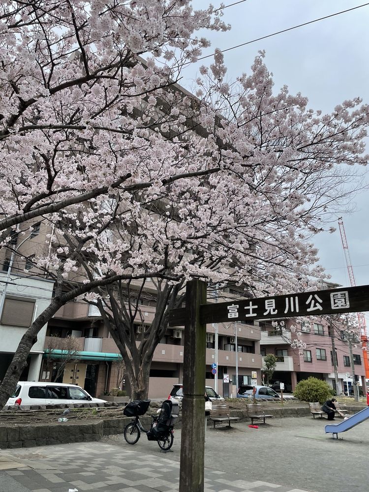 Fujimigawa kouen