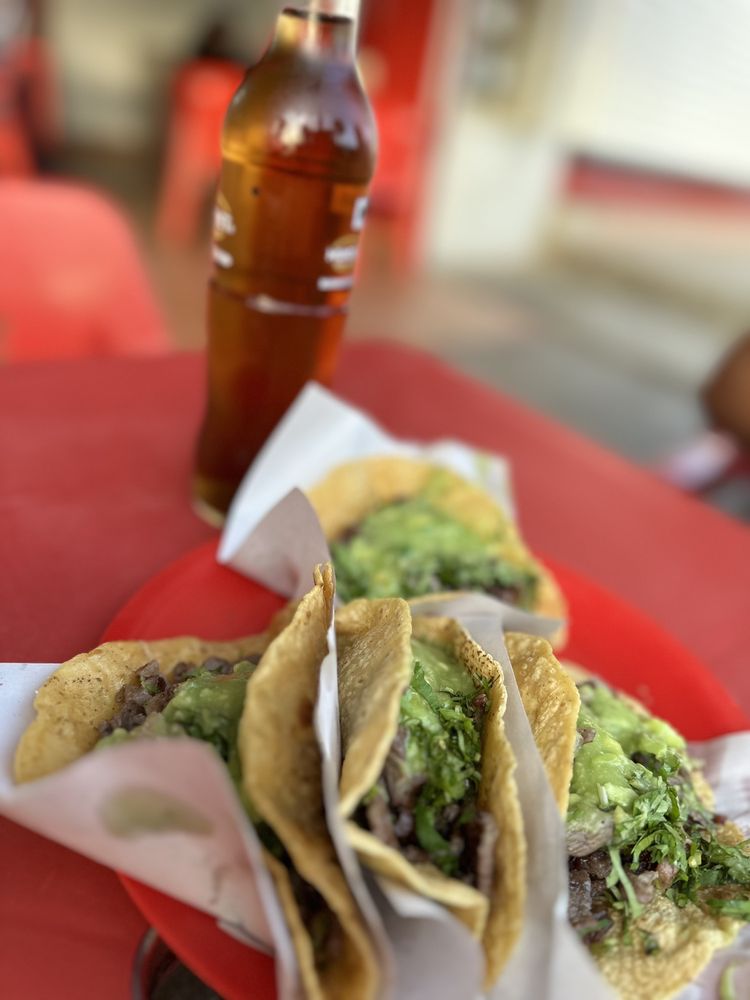 TACOS LA JOYA Updated September 2024 Av. J. 352, El Sauzal, Baja