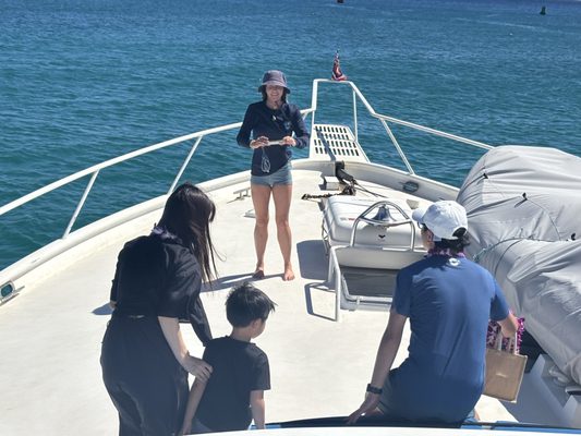Ohana Yachts by null