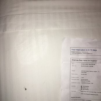 Americas Best Value Inn Angleton - Nice big ole splooge stains - Hotels Near Me - Angleton, Texas