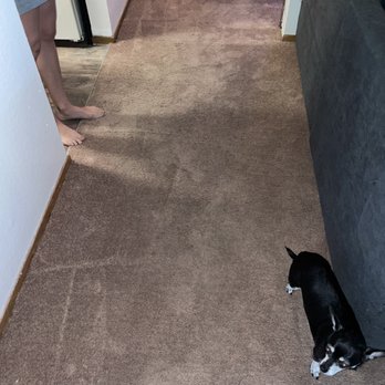 Pristine Cleaners - Fresh/clean carpets - Carpet Cleaning Near Me