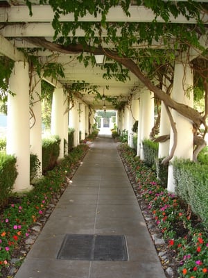 The Langham Huntington, Pasadena by null