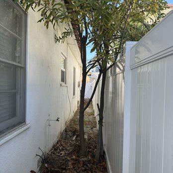 Figueroa Landscaping - Before - Landscaping Near Me