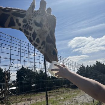 Tennessee Safari Park - Parks Near Me - Alamo, Tennessee
