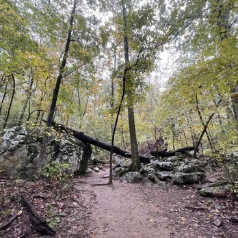 Cedar Falls Trail - Hiking Near Me - Morrilton, Arkansas Cedar Falls Trail - Hiking Near Me - Morrilton, Arkansas