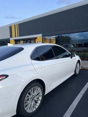 Jet Black Tint Fremont