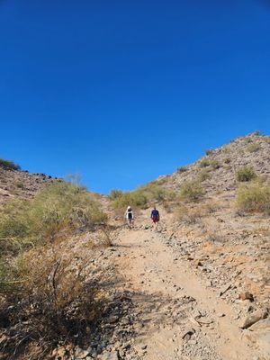North Mountain Park by null