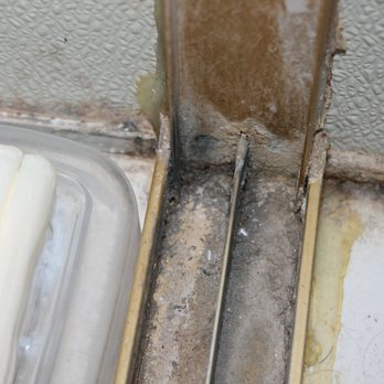 A1 Property Management - Black mold growing all over in the bathroom. - Commercial Real Estate Near Me - Rocklin, California