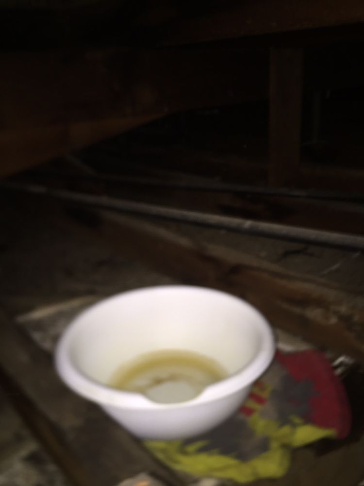 Slide of Penny Roofing