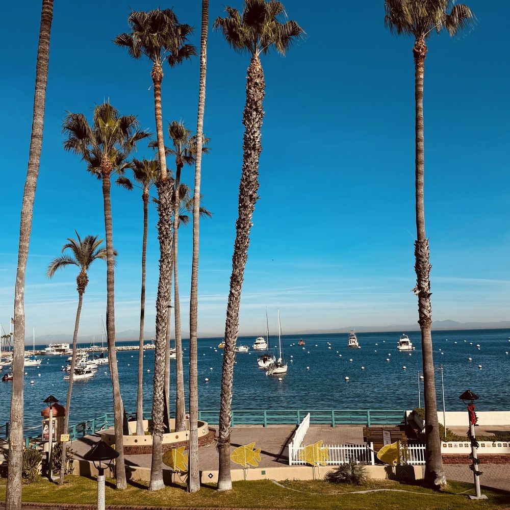 Hotel Metropole - View from our balcony - Hotels Near Me - Avalon, California Hotel Metropole - View from our balcony - Hotels Near Me - Avalon, California