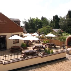 The Elm Tree