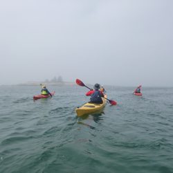 Sea Kayak Stonington