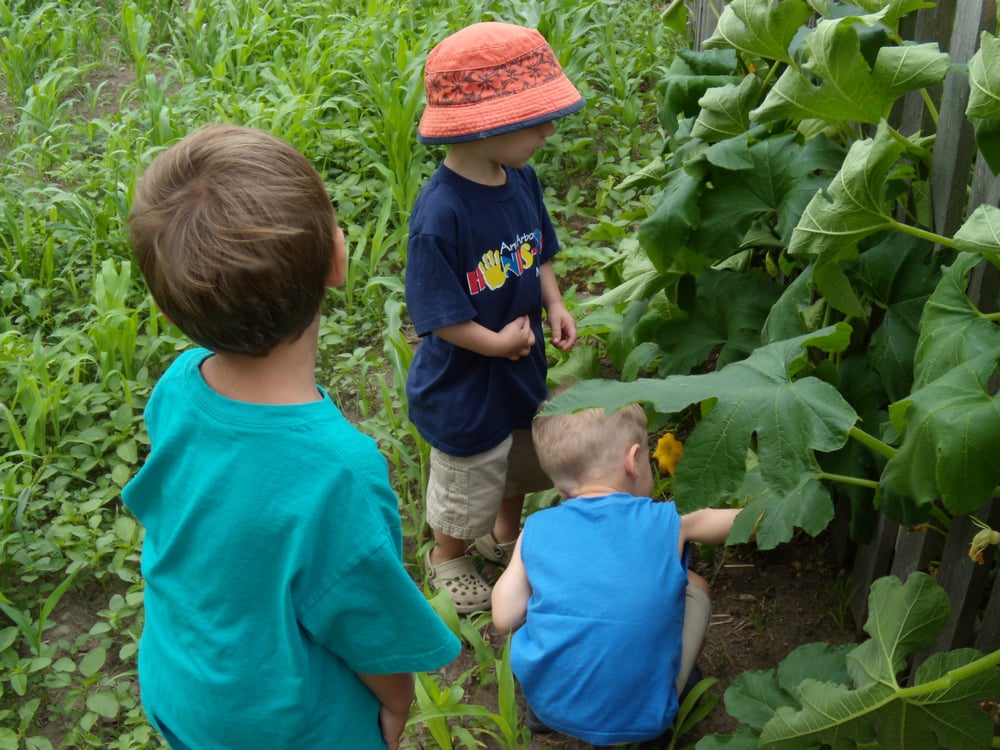 May's Chinese Preschool and Daycare - childcare center in Ann Arbor, MI